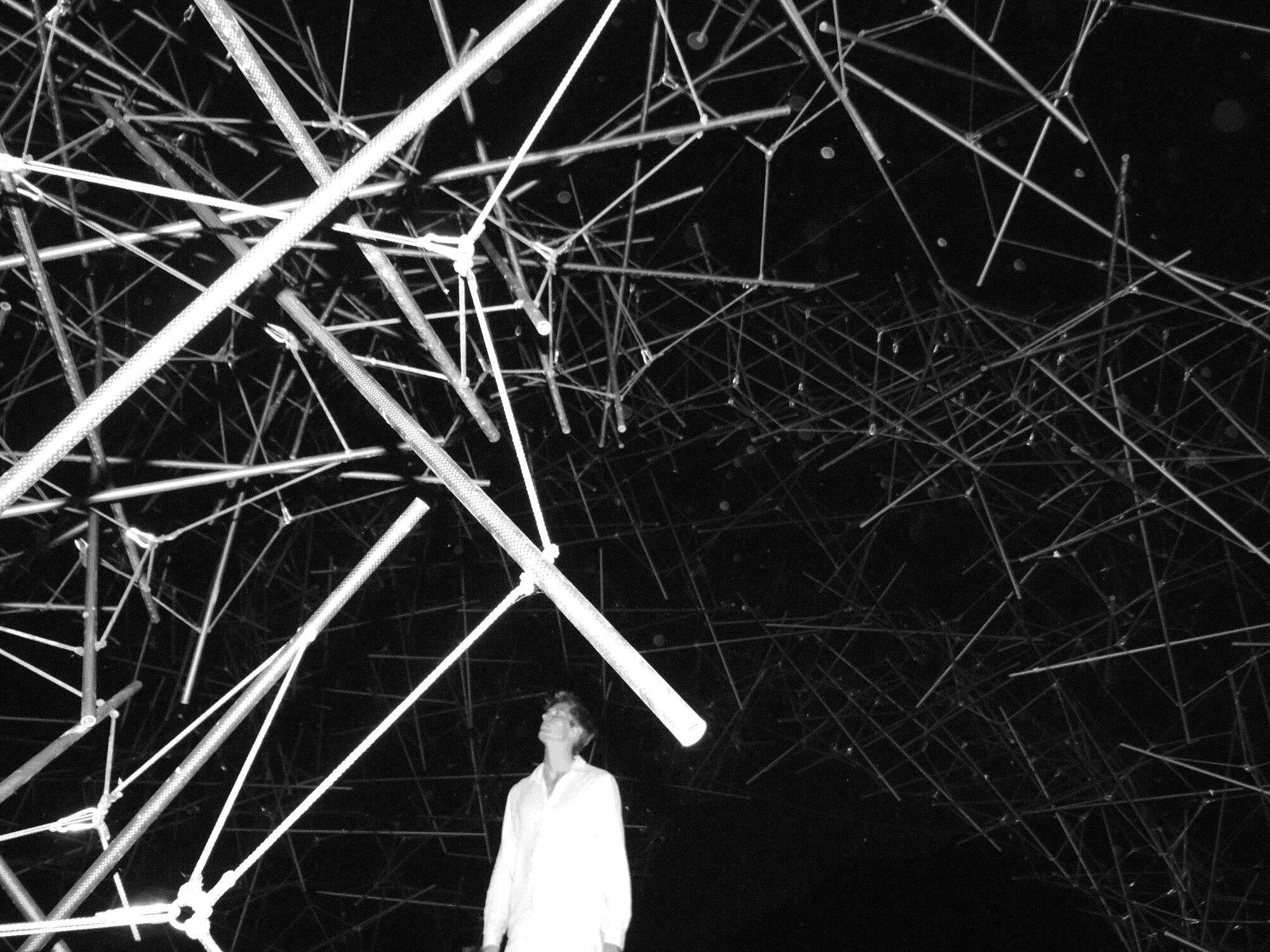 Ludovic_Regnault_Murmuration_3, 2024, Carbon Fiber & Polypropylene